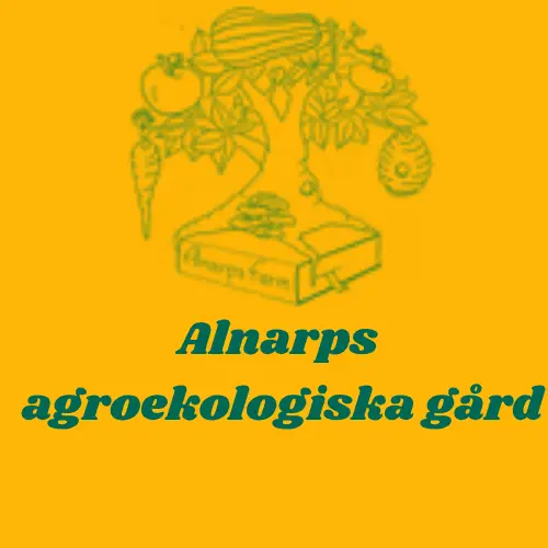 Logotyp för Alnarp Agroecology Farm – samarbetspartner till Ödet inom agroekologi, hållbara livsmedelssystem och urban odlingsforskning.