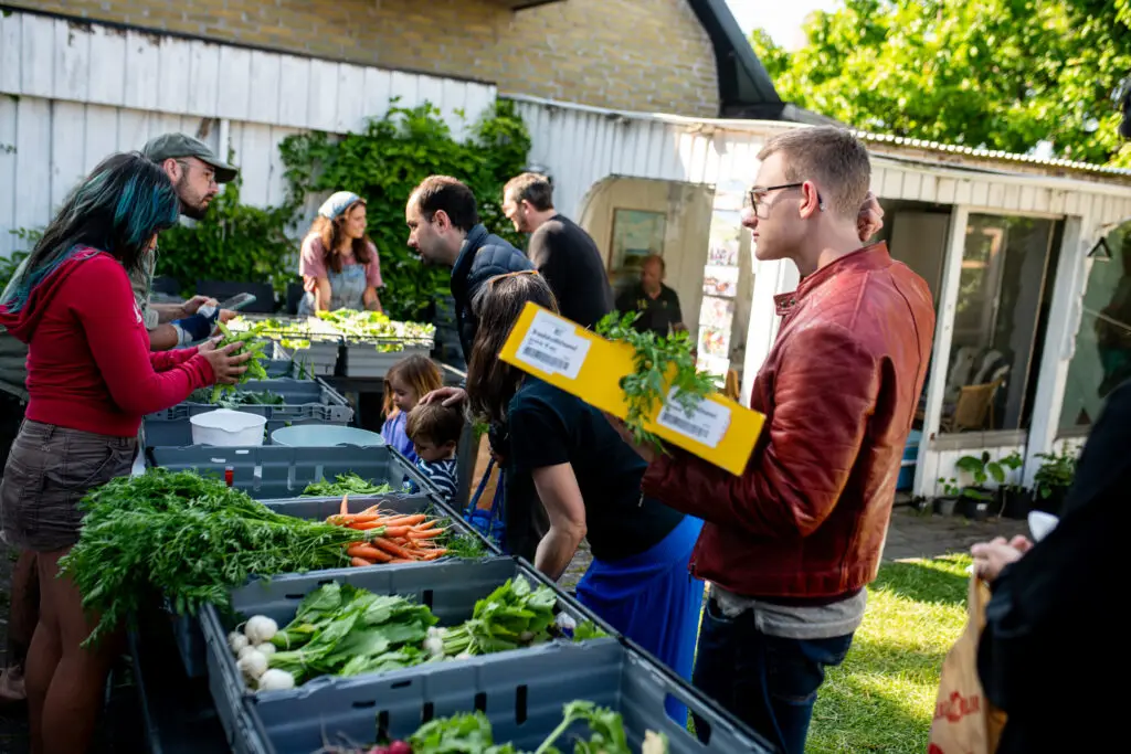 Människor samlade på Ödets lummiga innergård i Malmö under en Farmers Market. I förgrunden syns lådor fyllda med färska morötter, rädisor och bladgrönsaker. En person i röd jacka håller i en gul kasse.