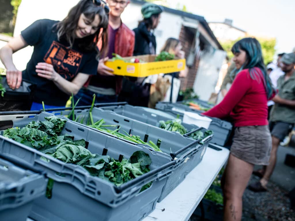 Närbild på en korg fylld med färska ekologiska morötter och rädisor på Farmers Market på Ödets innergård i Malmö. I bakgrunden syns besökare på marknaden